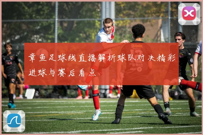 章鱼足球线直播解析球队对决精彩进球与赛后看点